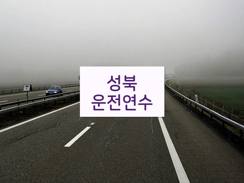 성북운전연수 후기