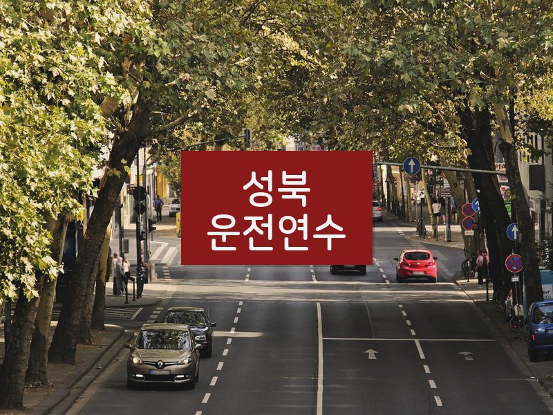성북운전연수 후기