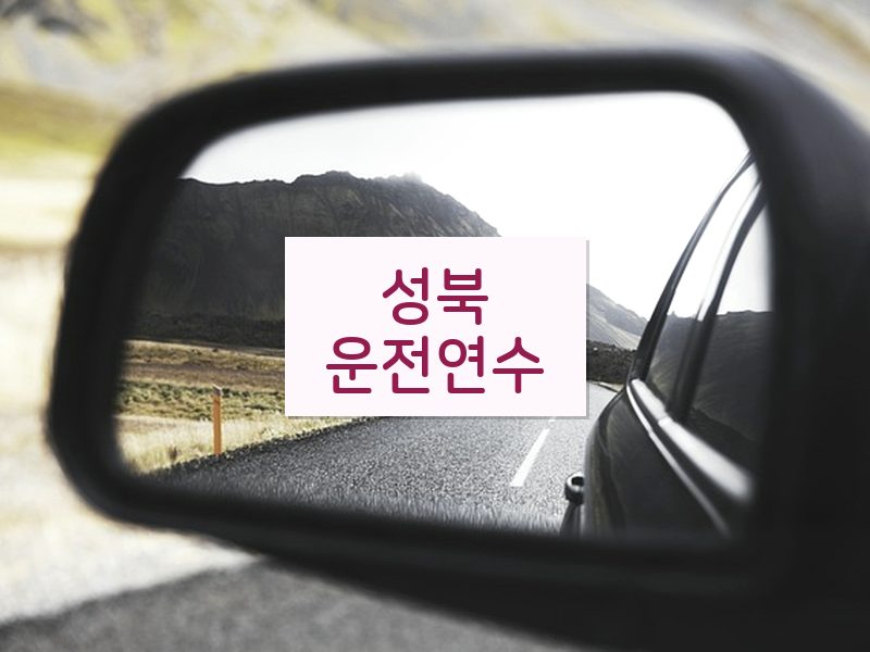 성북운전연수 후기