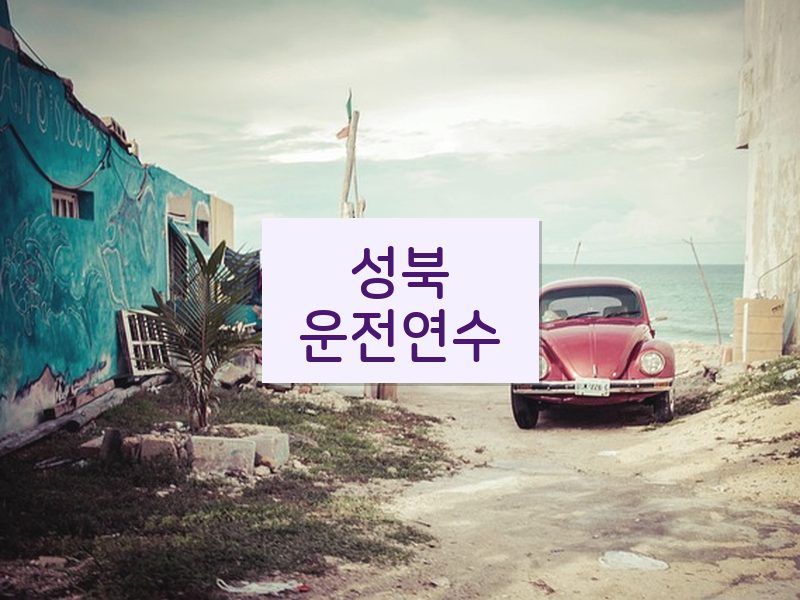 성북운전연수 후기