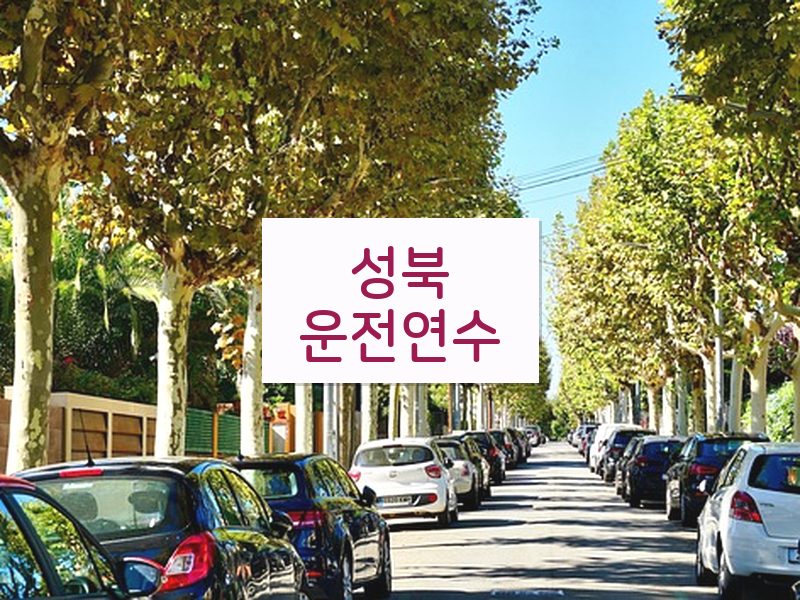 성북운전연수 후기