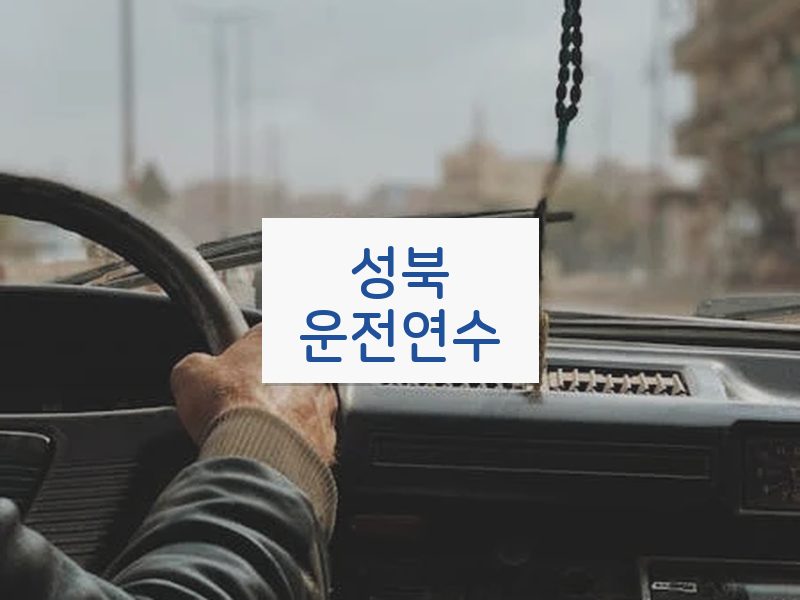 성북운전연수 후기
