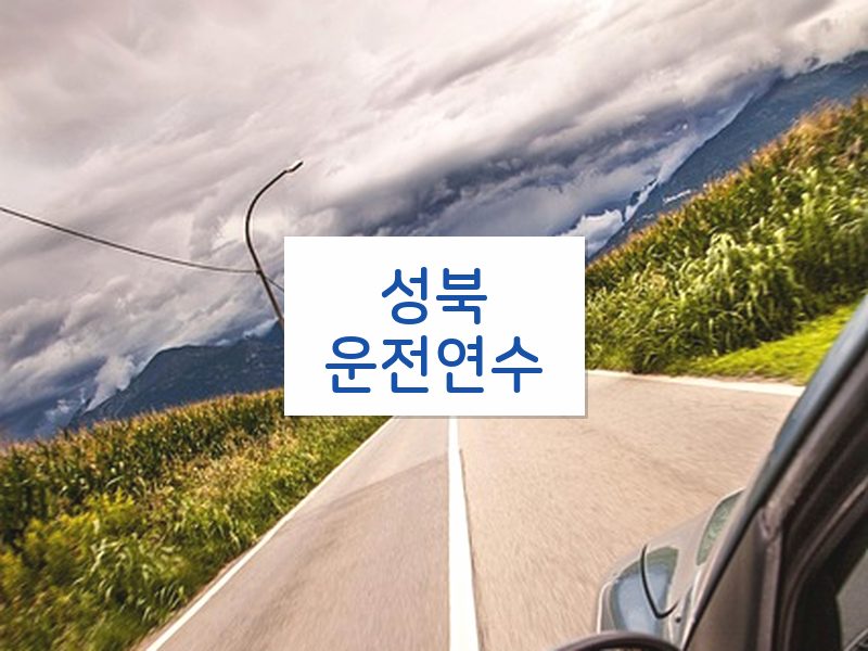 성북운전연수 후기