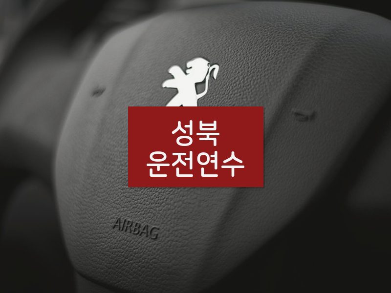 성북운전연수 후기