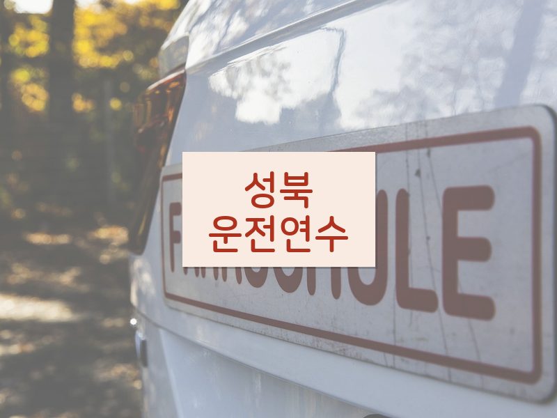 성북운전연수 후기