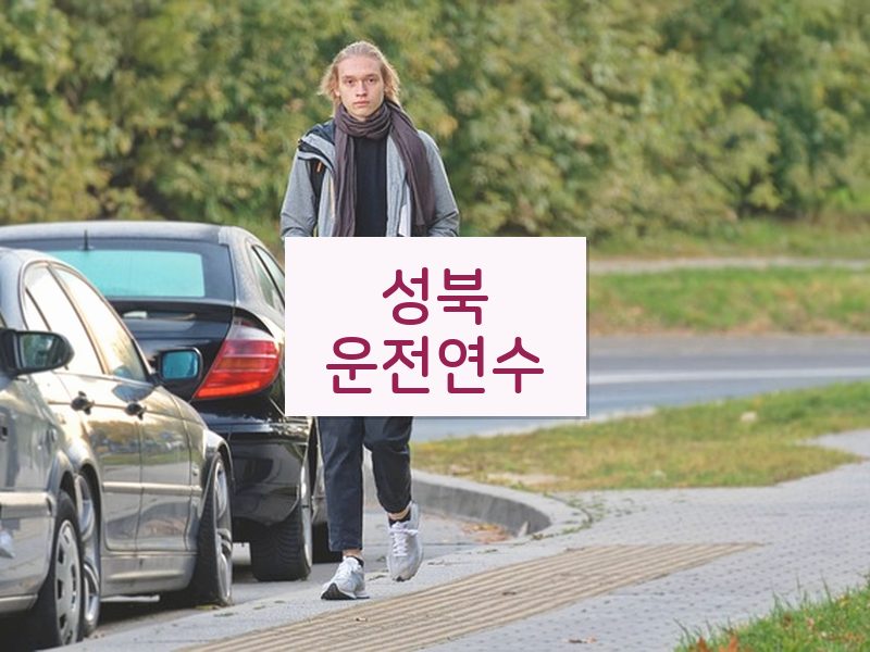 성북운전연수 후기