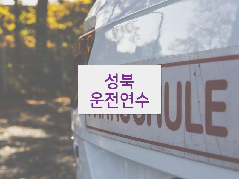 성북운전연수 후기