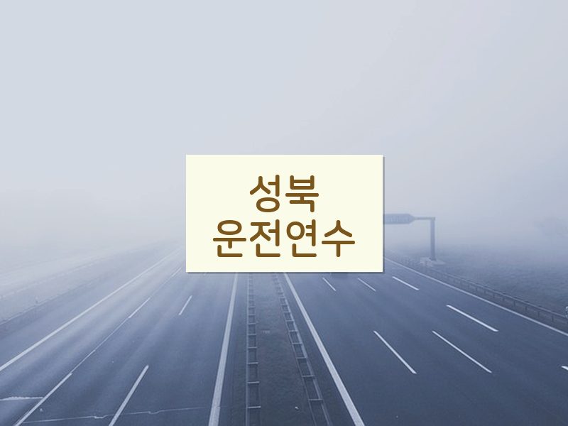 성북운전연수 후기