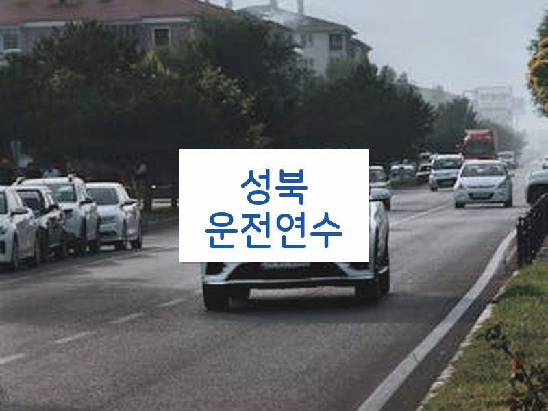 성북운전연수 후기