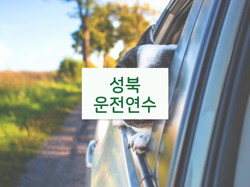 성북운전연수 후기