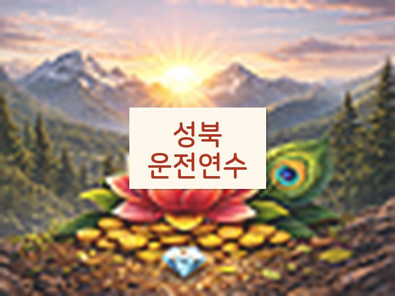 성북운전연수 후기