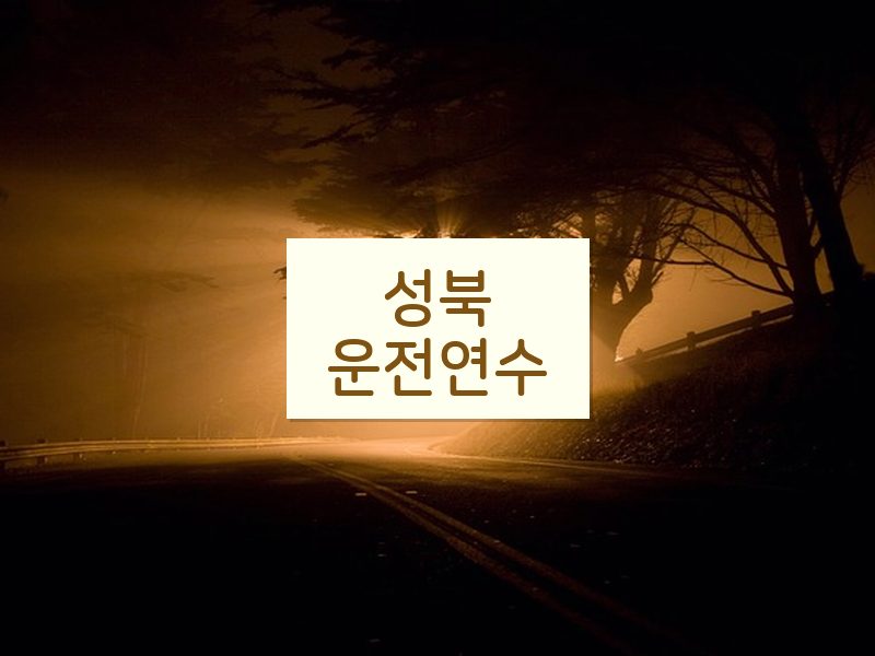 성북운전연수 후기