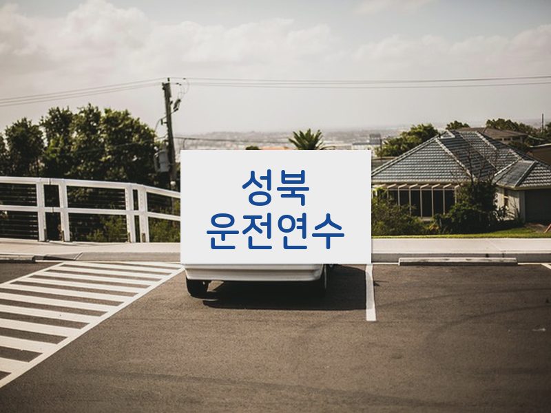 성북운전연수 후기