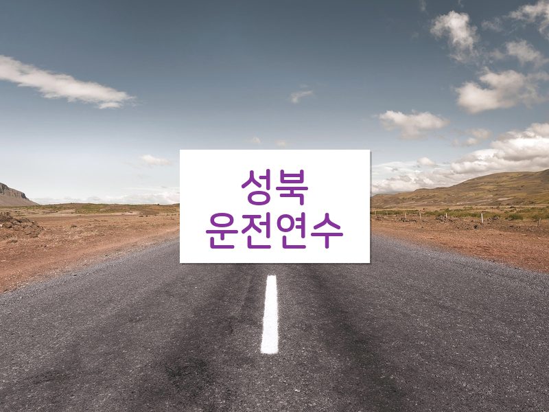 성북운전연수 후기