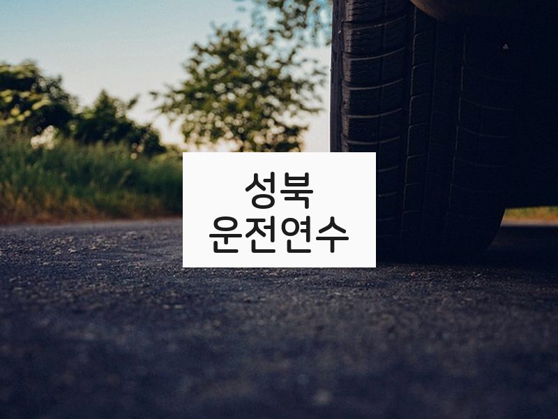 성북운전연수 후기