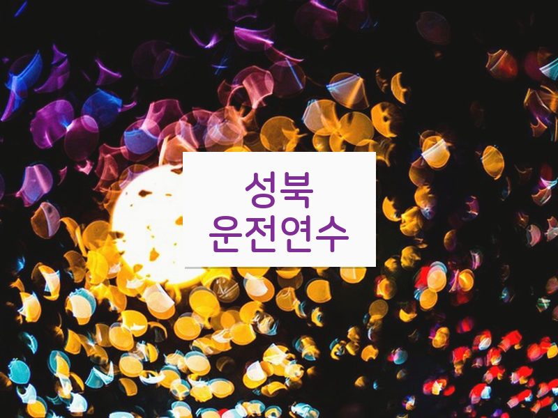 성북운전연수 후기