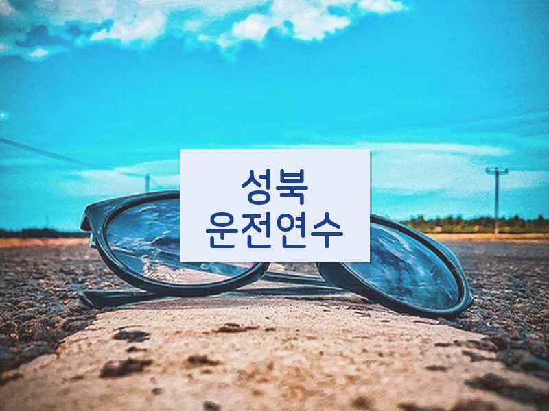 성북운전연수 후기