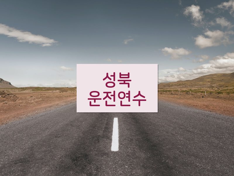 성북운전연수 후기