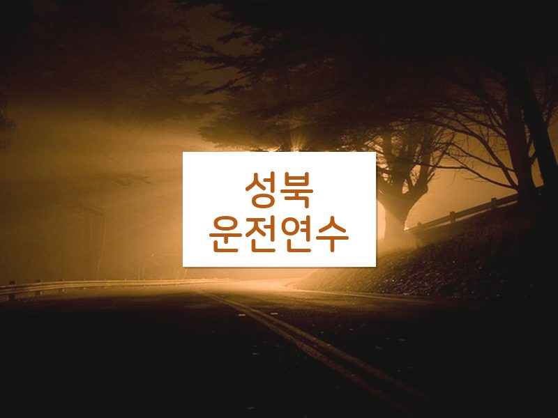 성북운전연수 후기