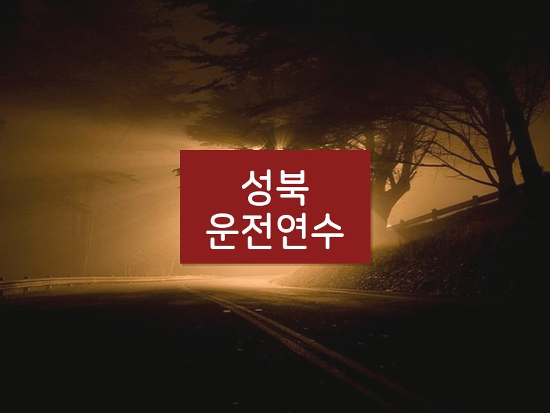 성북운전연수 후기