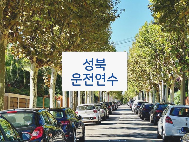 성북운전연수 후기