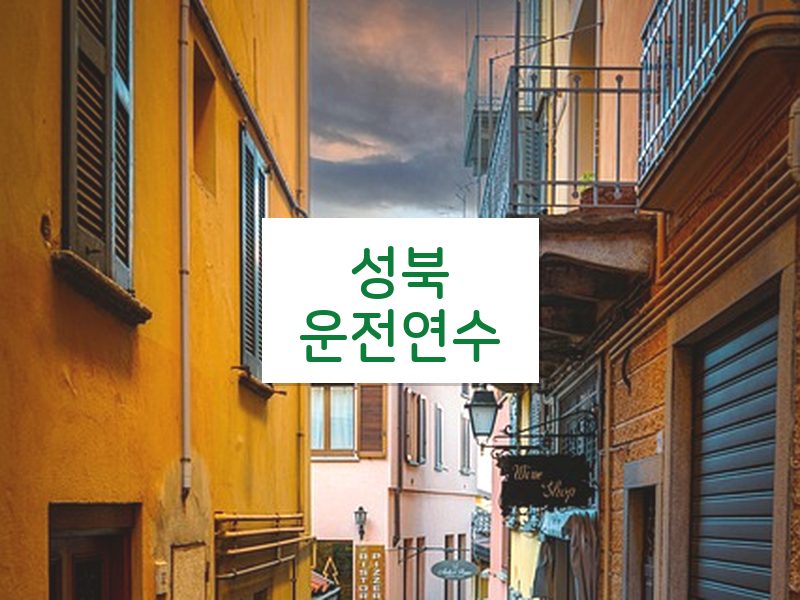 성북운전연수 후기
