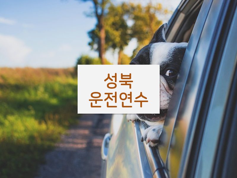 성북운전연수 후기