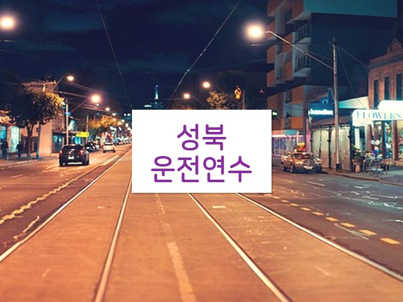 성북운전연수 후기