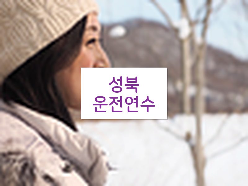 성북운전연수 후기