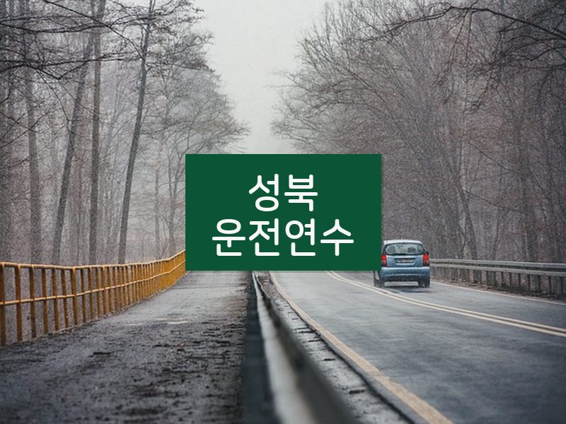 성북운전연수 후기