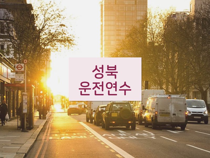 성북운전연수 후기