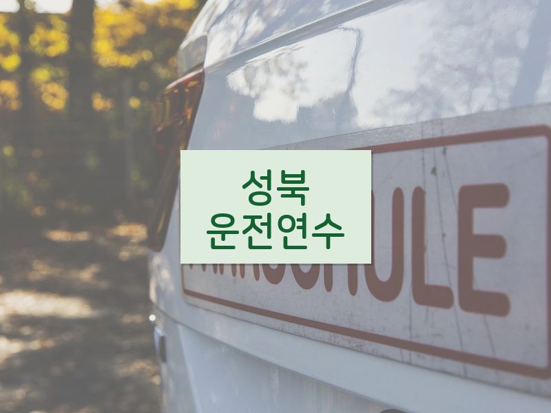 성북운전연수 후기