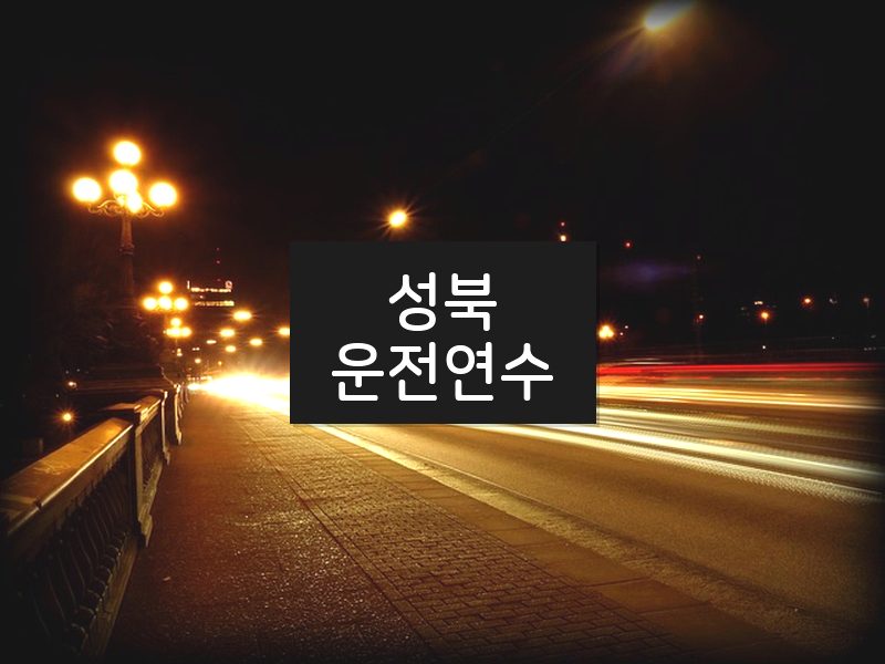 성북운전연수 후기