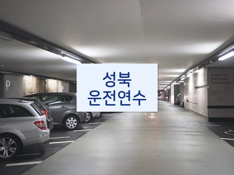 성북운전연수 후기
