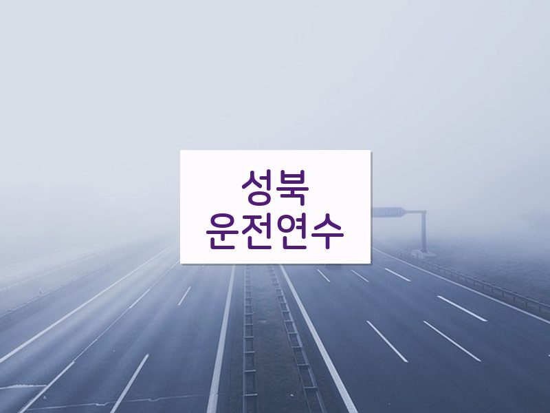 성북운전연수 후기