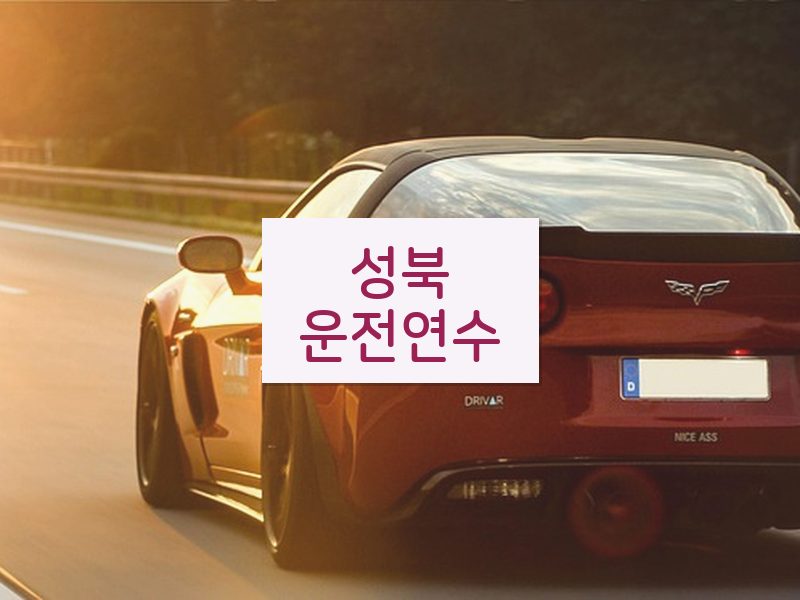 성북운전연수 후기