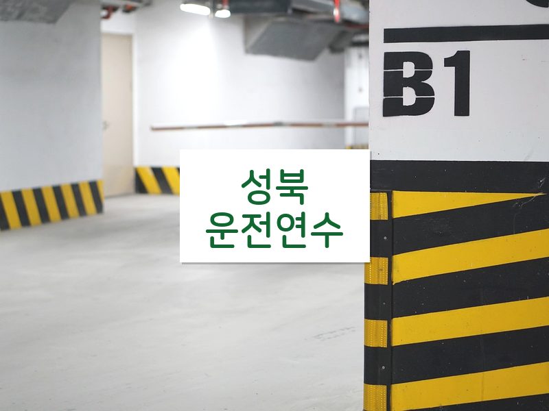성북운전연수 후기