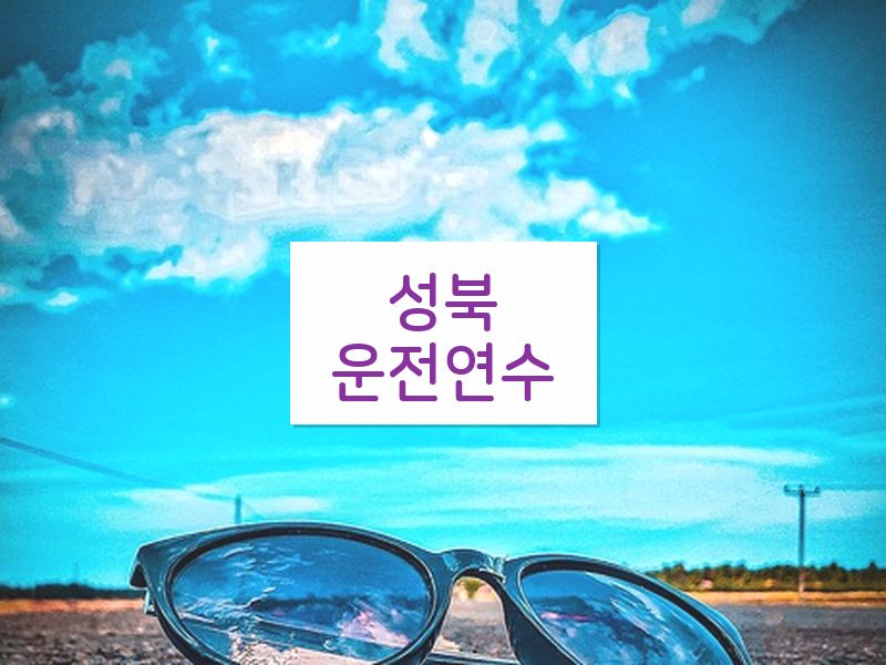 성북운전연수 후기