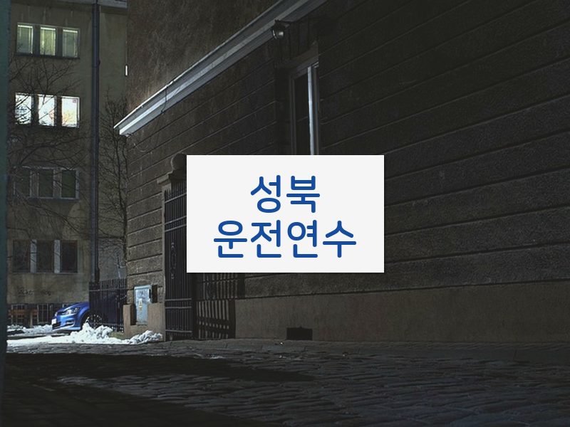성북운전연수 후기