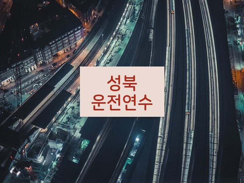 성북운전연수 후기