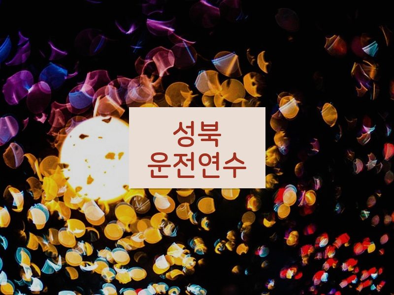 성북운전연수 후기
