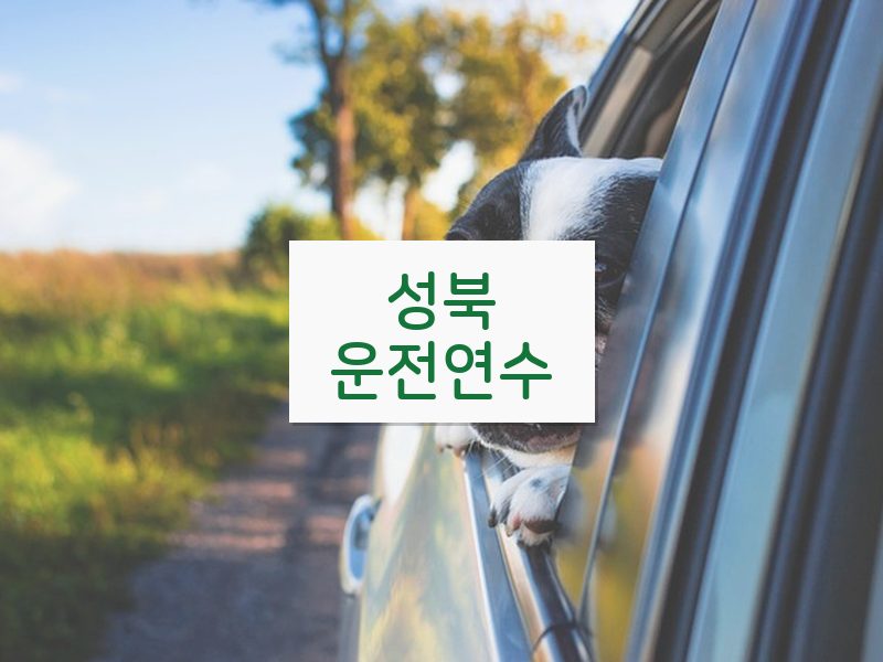 성북운전연수 후기