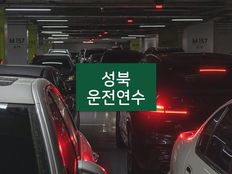 성북운전연수 후기