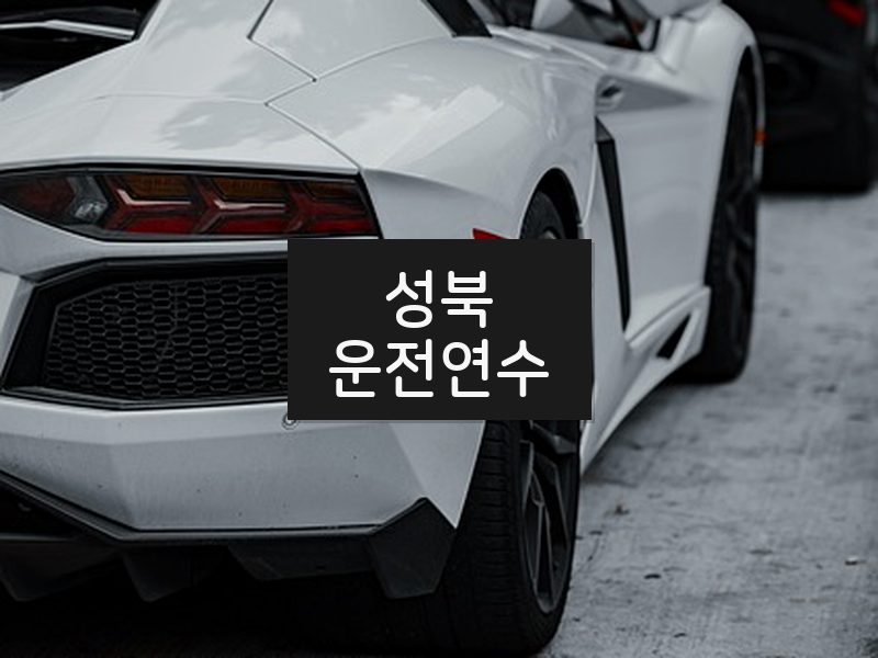 성북운전연수 후기