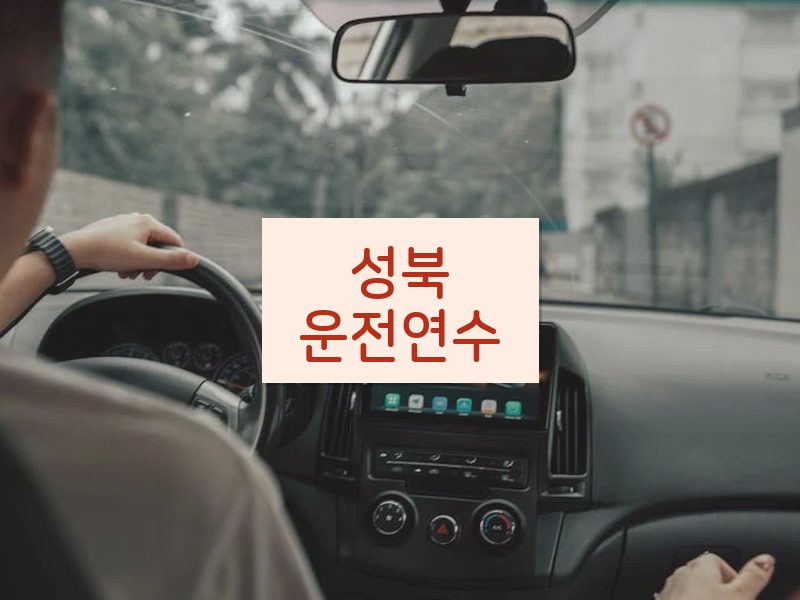 성북운전연수 후기