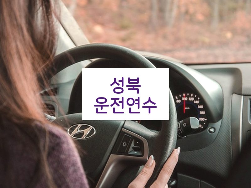 성북운전연수 후기