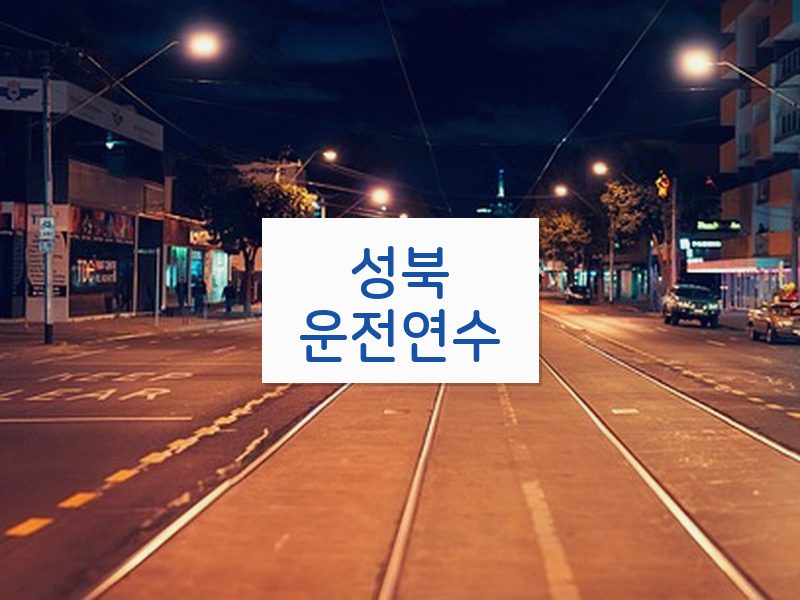 성북운전연수 후기
