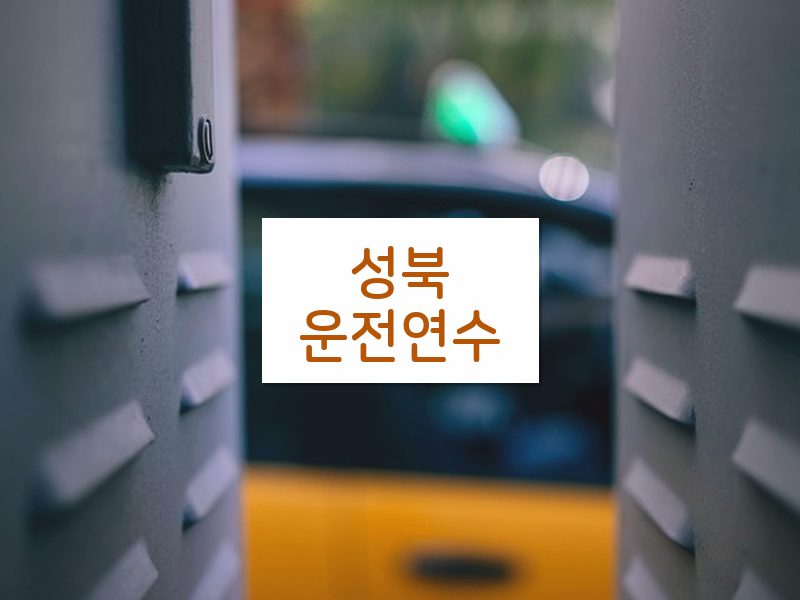 성북운전연수 후기
