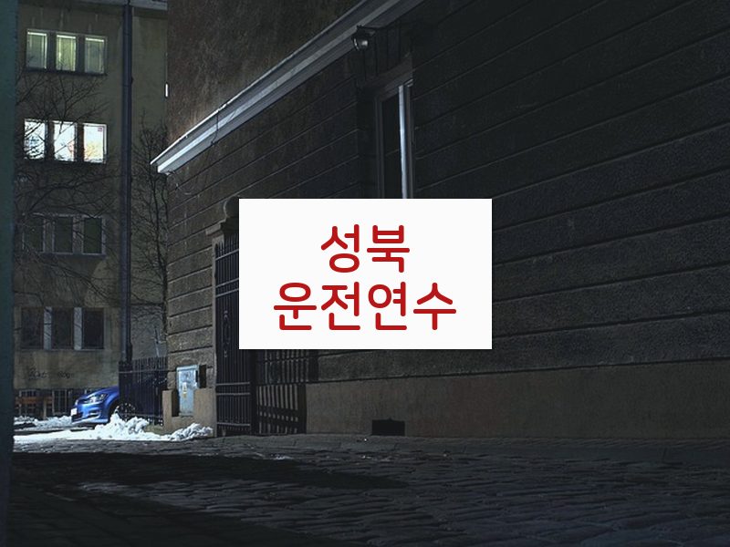 성북운전연수 후기