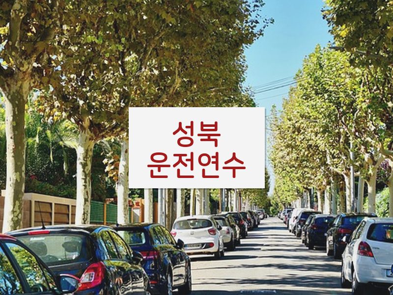 성북운전연수 후기